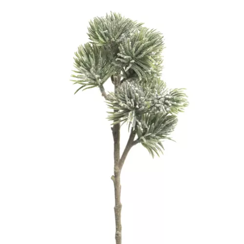 Payaa Pinus Spray Mugo gevlokt 58cm (114523)
