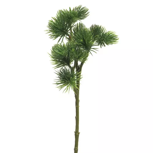 Payaa Pinus Spray Mugo Groen 58cm (114524)