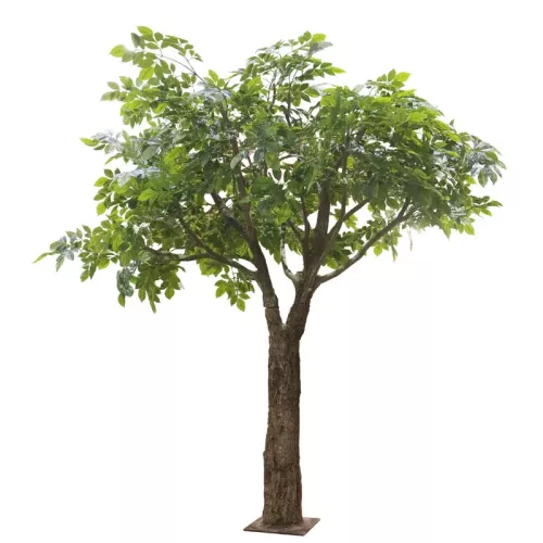 Payaa Reuze Ficusboom groen 160x160x230cm (114881)