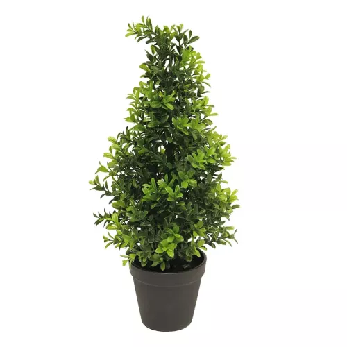 Payaa Buxus Orion taps toelopend groen 15x15x45cm (114882)