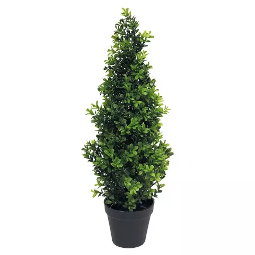Payaa Buxus Orion taps toelopend groen 15x15x60cm (114883)