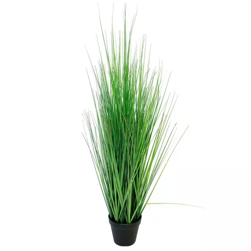 Payaa King Festuca Groen met pot 115cm (115428)