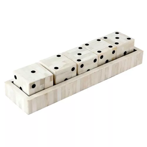Payaa Dobbelstenen in bakje 42x11x8,5cm (112850)