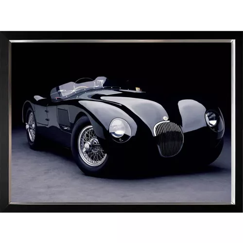 Payaa 1951 Jaguar C-Type 120x90x3cm (102629)