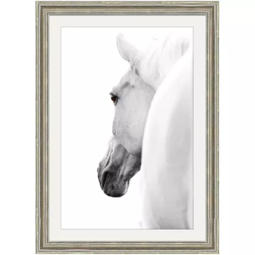 Wit paard 2 70x90x3cm
