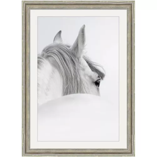 Wit paard 1 70x90x3cm