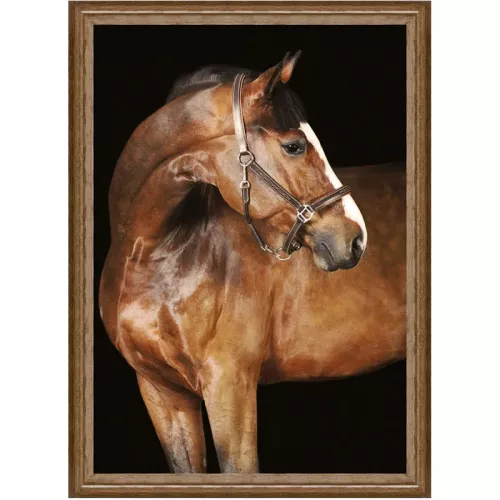 Payaa Bruin paard 1 60x80x3cm (105173)