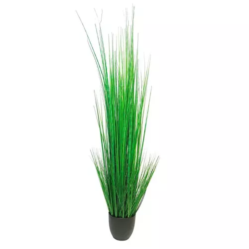 Payaa King Festuca In Pot 30x30x150cm (112147)