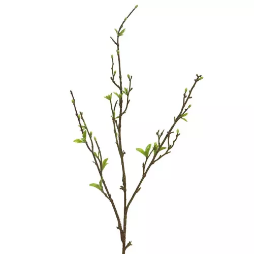 Payaa Sping Twig Groen 12x4x101cm (112146)