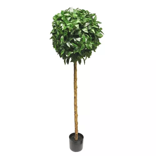 Payaa Laurus Nobilis Bal Op Stam Groen 45x45x150cm (111936)