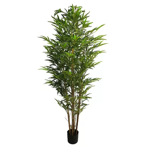 Payaa Bambusa Babou Groen 70x70x180cm (111935)