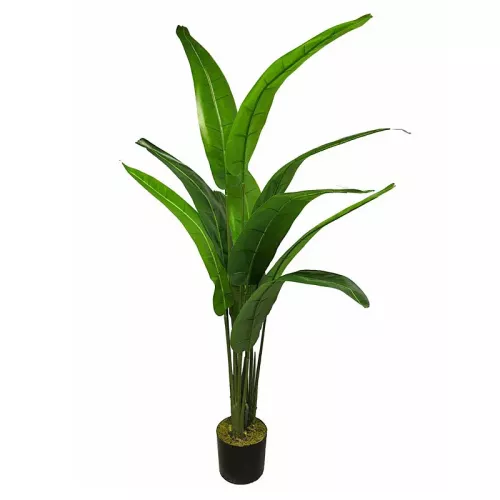 Payaa Heliconia Rostrata 170x50x50cm (111860)