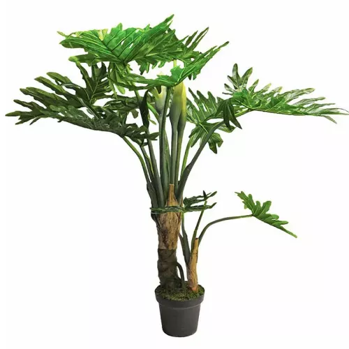 Payaa Philodendron Wasimbu 155x50x50cm (111832)