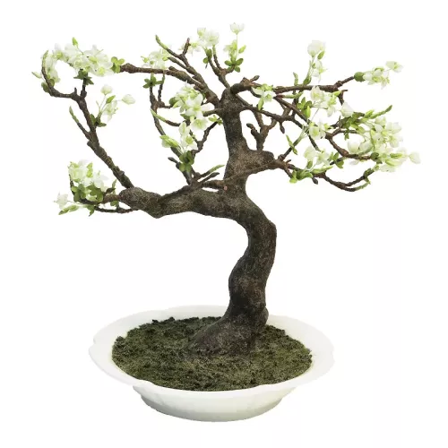 Payaa Prunus Bonsai in crème keramische pot 62x50x30cm (111211)