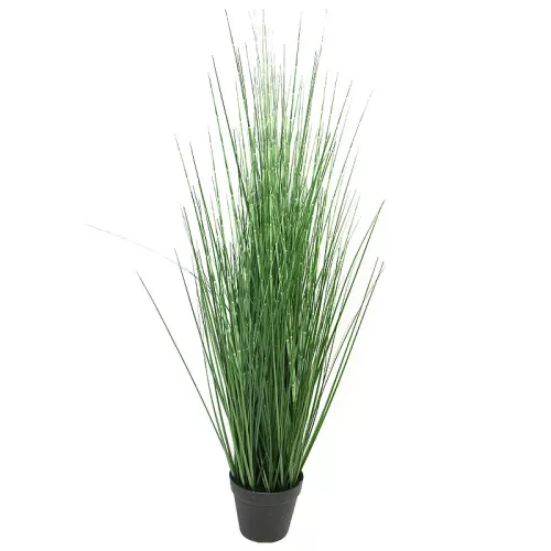 Payaa King Festuca In Pot 30x15x86cm (111204)
