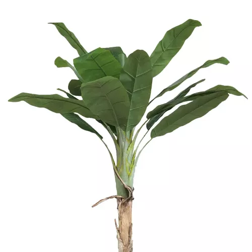 Payaa Bananenboom Agnes In Pot 270x40x30cm (110535)