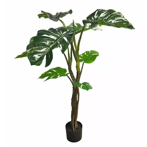Payaa Monstera Jane In Pot 50x30x130cm (110533)