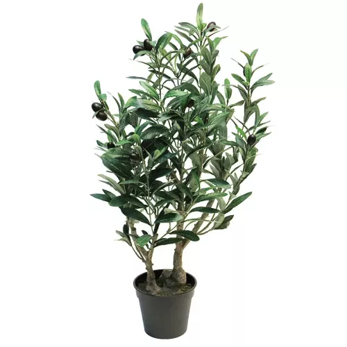 Payaa Olijfboom 70x50x40cm (110529)