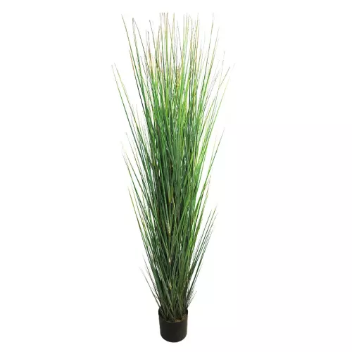Payaa Gras Dori 165x40x30cm (110523)