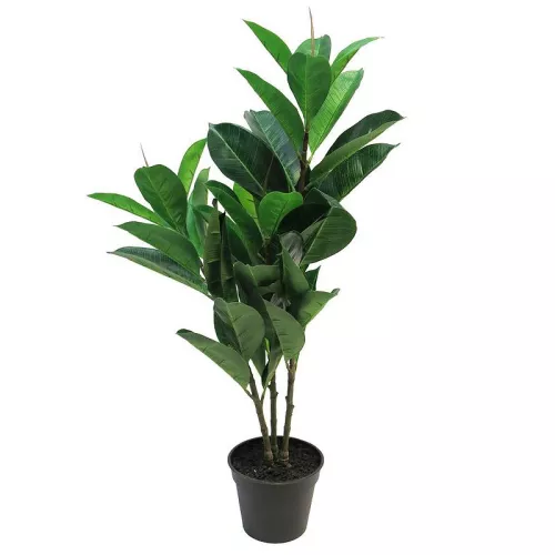 Payaa Ficus Elastica 70cm lt. groen (60292-2)