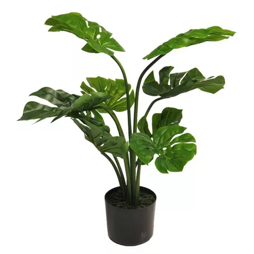 Payaa Monstera Deliciosa green 68cm (51495-1)