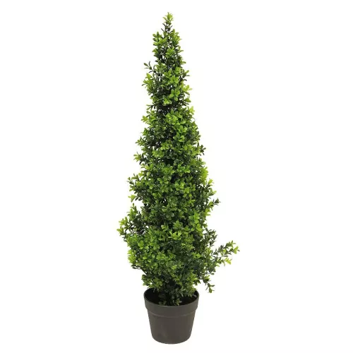 Payaa Buxus Orion taps toelopend groen 90cm (200246)