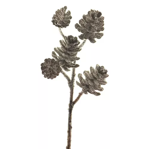 Payaa Dennenappelpluk ijs 24cm (200616)