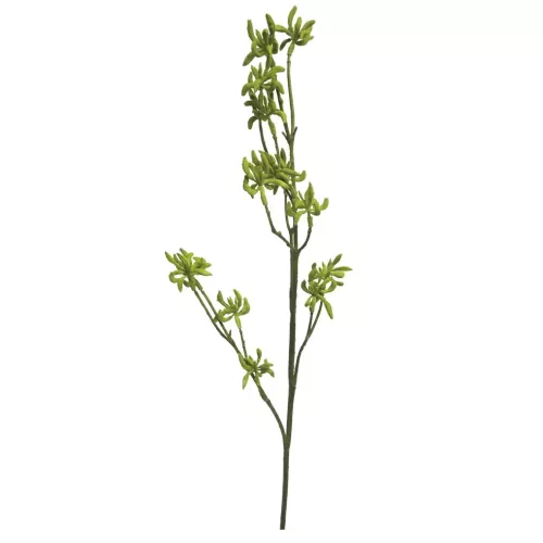Payaa Eucalyptus knoptak groen 68cm (200989)