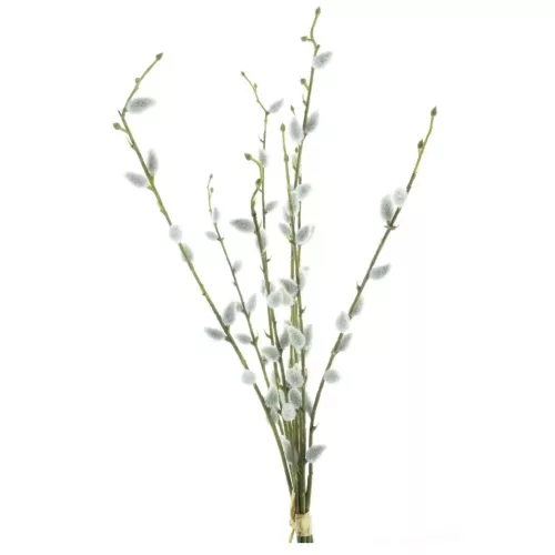Payaa Salix Chartreux bundel 54cm (200990)