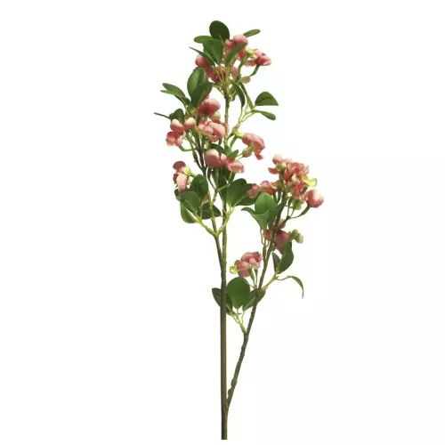 Payaa Wilde seringa Auke rood 65cm (200993)