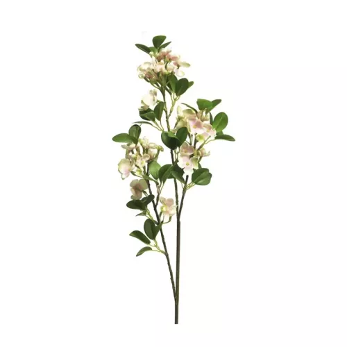 Payaa Wilde seringa Auke roze 65cm (200994)
