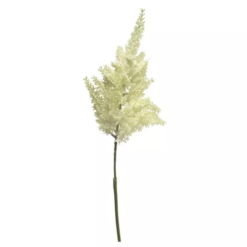 Payaa (Best) Astilbe spray creme 70cm (200996)
