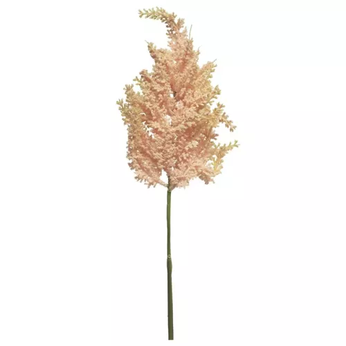 Payaa Astilbe tros roze 70cm (200997)