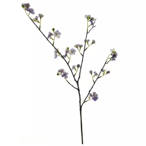 Payaa Mini bloesemtak vita paars 85cm (201004)