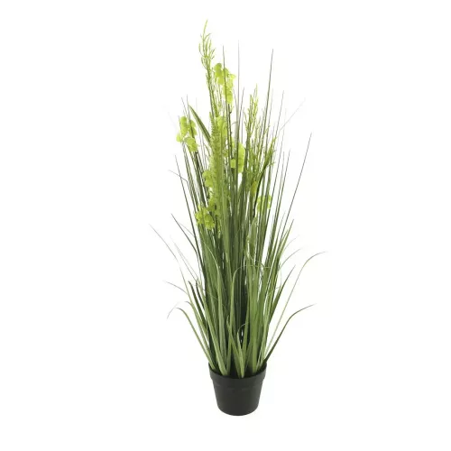 Payaa Grasplant met bloemen in pot 110cm (201010)
