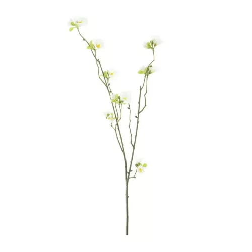 Payaa Nieuwe bloesemtak yaro creme 67cm (201016)