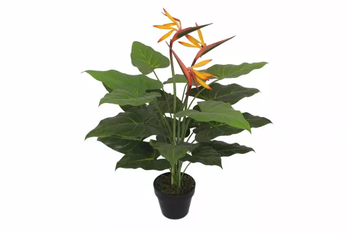 Payaa Paradijsvogelbloem 75cm (201527)