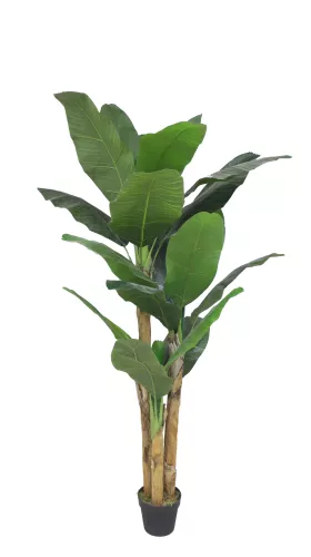 Payaa Green Banana boom 180cm (201531)