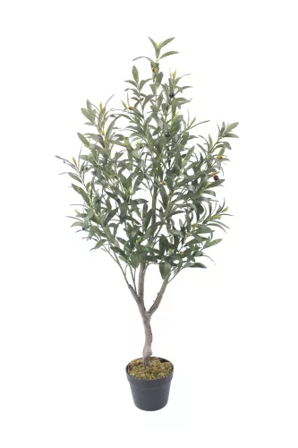 Payaa Olijfboom 20cm (201532)