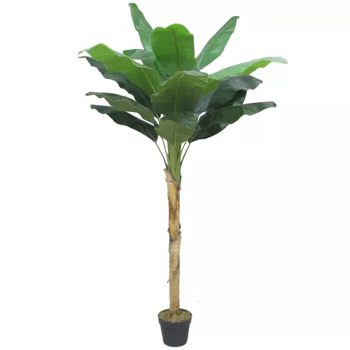 Payaa Green Banana boom 180cm (201533)